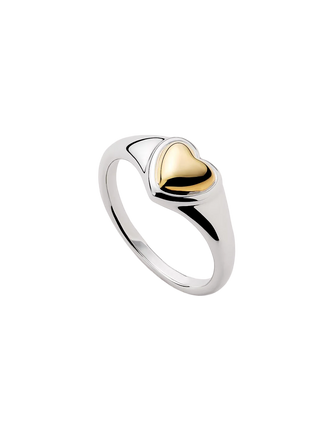 14K-Gold-Rhodium-Plated-Hearts-Pillow-Charms-Statement-Signet-Rings-for-Women-Ana-Luisa-Elysia_f4e21de3-ce92-4c5f-9da4-4048b7c791f0-clean.png