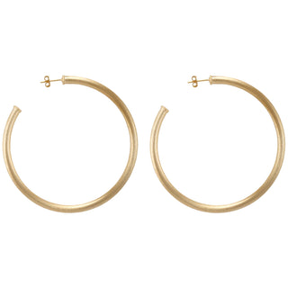 Everybody's Favorite Hoop - Champagne Gold