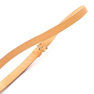 Louis Vuitton Musette Salsa Monogram