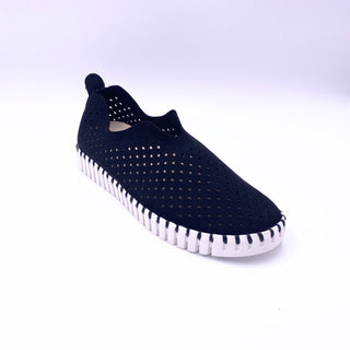 Tulip - Black