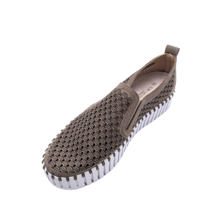 Tulip Platform - Falcon