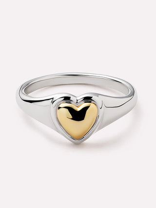 4-14K-Gold-Rhodium-Plated-Hearts-Pillow-Charms-Statement-Signet-Rings-for-Women-Ana-Luisa-Elysia_840f41fe-e3da-412f-a39c-fffeb5d0ea12.webp