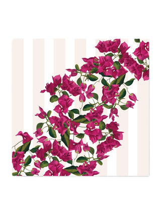 Scarf - Bougainvillea