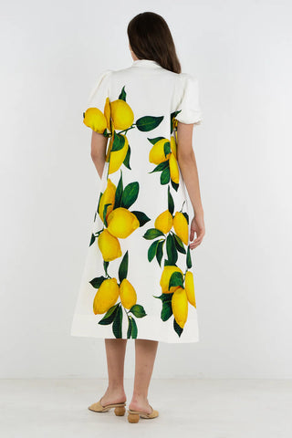 Emily McCarthy Hampton Dress - Limone