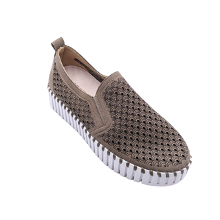 Tulip Platform - Falcon