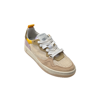 Phoenix - Desert Multi