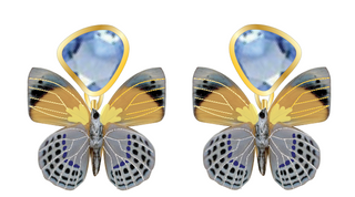 Costa Earrings - Multi