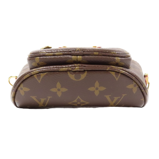 Louis Vuitton Monogram Mini Bumbag