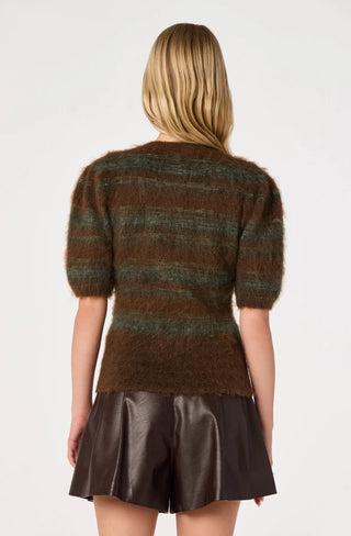 Astr Jean Sweater - Brown Green Stripe