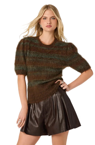 Astr Jean Sweater - Brown Green Stripe