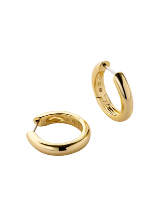 Ana Luisa Giulia Hoop Earrings - Medium - Gold