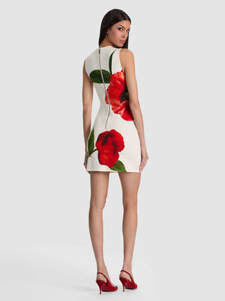 Wynell Fitted Mini Dress - Summer Poppy