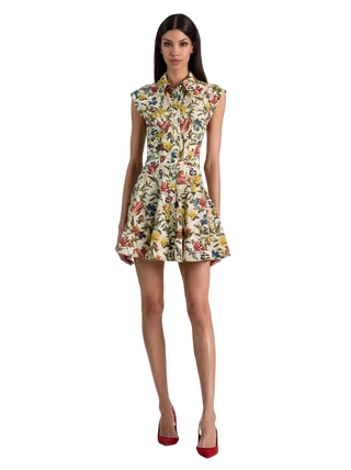 Alice + Olivia Kim Paneled Flared Mini Dress - Desert Springs Vanilla