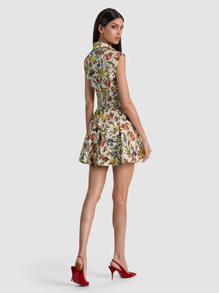 Alice + Olivia Kim Paneled Flared Mini Dress - Desert Springs Vanilla
