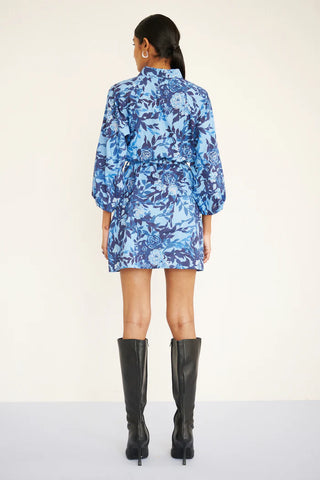 Daisy Dress - Clematis