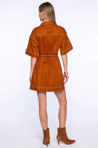 Elizabeth James Allie Dress - Chocolate