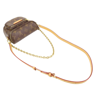Louis Vuitton Monogram Mini Bumbag