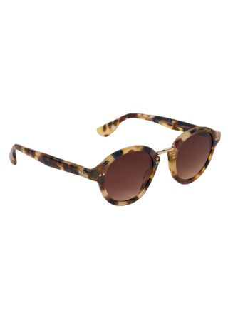 Krewe Ashton | Tuscan Tortoise 12k - Tuscan Tortoise 12k