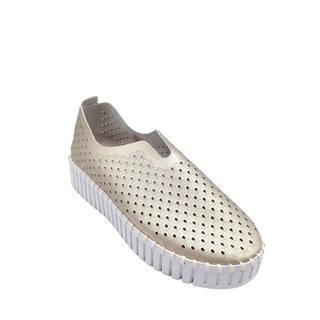 Tulip Platform - Platinum