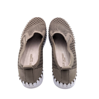 Tulip Platform - Falcon